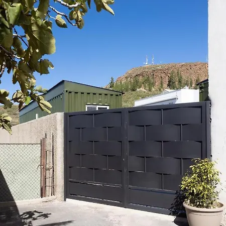 Latas Del Almendro 3