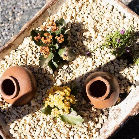 Latas Del Almendro 3 別荘 サンティアゴ・デル・テイデ