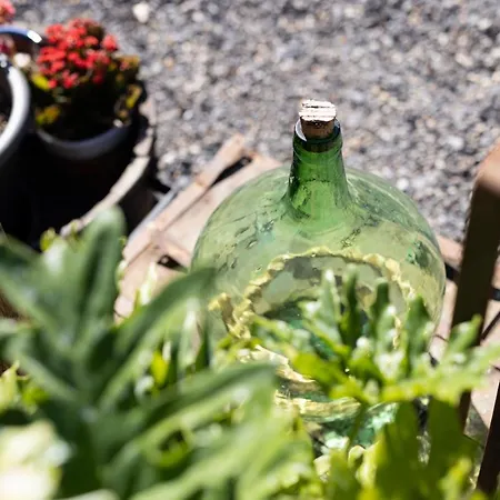 Latas Del Almendro 3 別荘 *